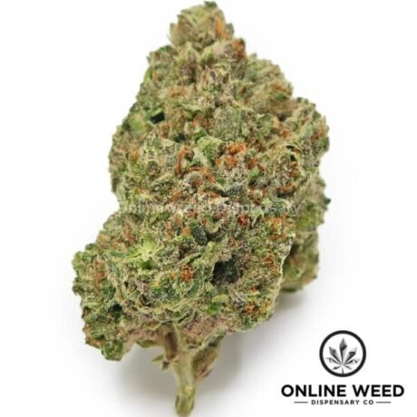 Bubblegum Runtz (Value Bud)