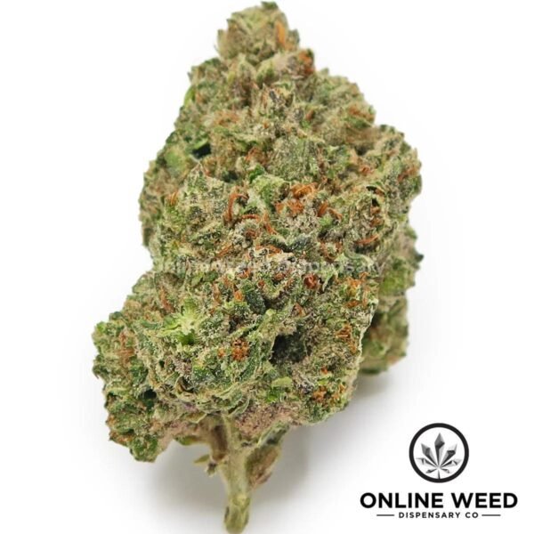 Sour Cherry Sherbert (Value Bud)