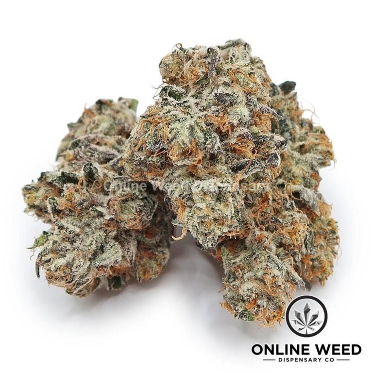 French Lotus (Exotic Reserve Strain) - Image 4