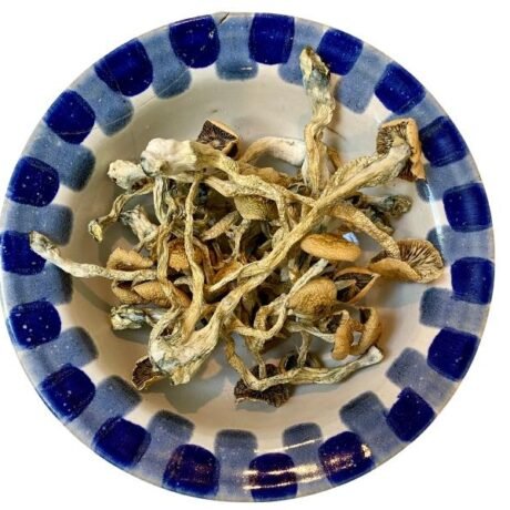 Amazon Magic Mushrooms