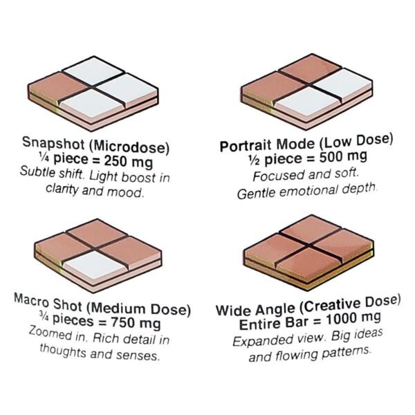 Picmi 1000mg Mushroom Chocolate- Dark Chocolate + Sea Salt - Image 3