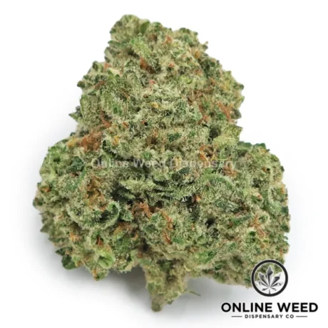 Banana Punch (Value Bud)