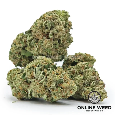 Sticky Glue (Value Bud)