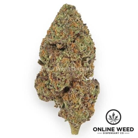 Zoap (Value Bud)