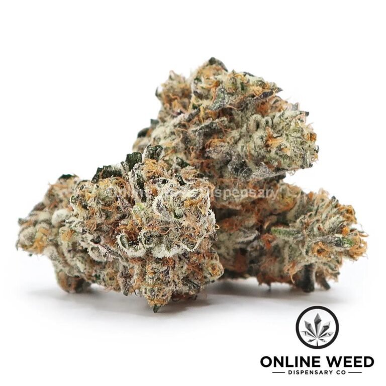 French Lotus (Exotic Reserve Strain) - Image 3