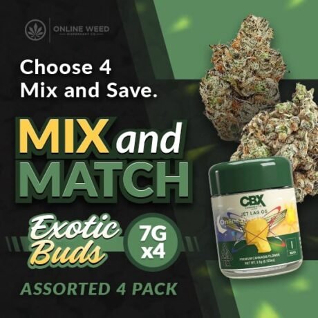 Mix & Match Exotic Bundle
