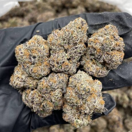 Blue Altoidz indoors 🔵 🍧