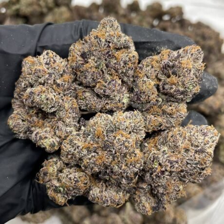 Candy Whammerz indoors