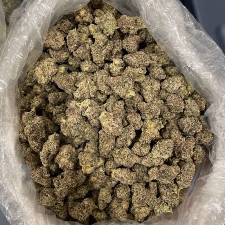 RUNTZ 💨⛽️⛽️⛽️⛽️⛽️